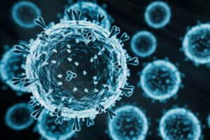 AVIAN FLU VIRUS H5N1 iStock-koto_feja-2150341687.jpg