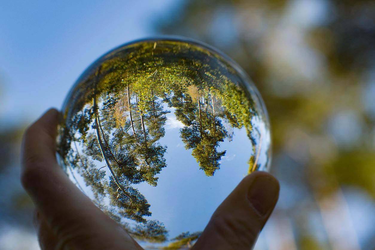 Biodiversity esg green planet conservation istock linephoto 1743928442