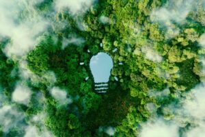 THE SHAPE OF A LIGHTBULB IS CARVED OUT OF A RAIN FOREST, SEEN FROM ABOVE