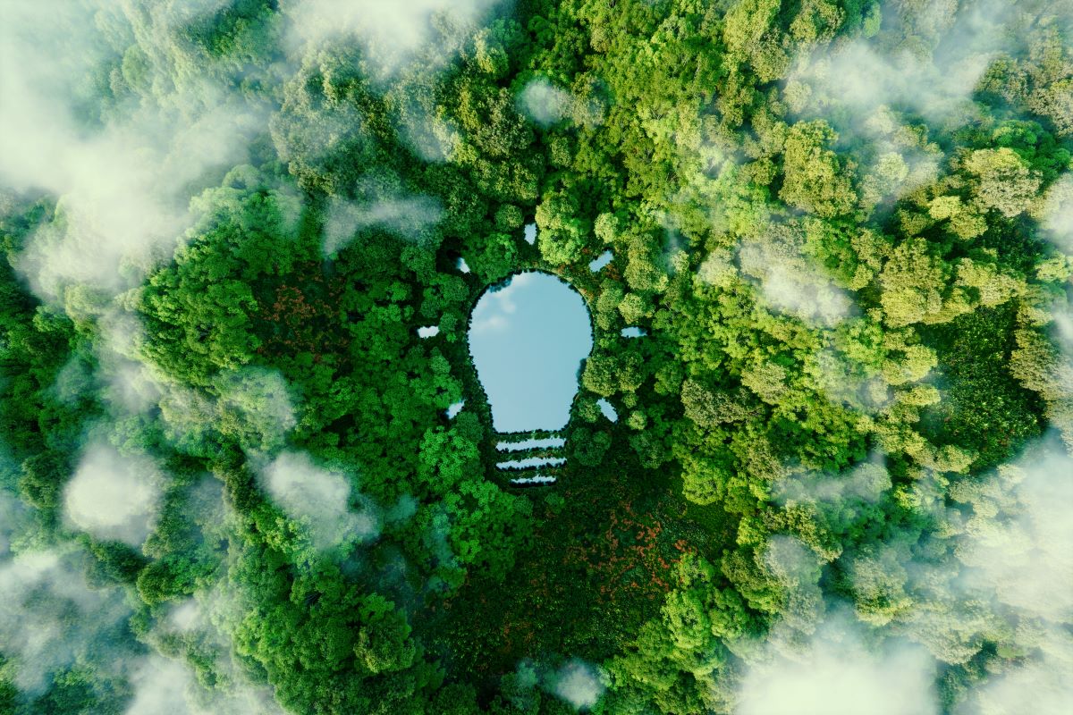 Carbon footprint green sustainability esg istock petmal 1343774494(1)
