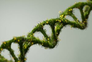 A WOVEN SKEIN OF FLOWERS AND GRASS FORMS THE SHAPE OF DNA