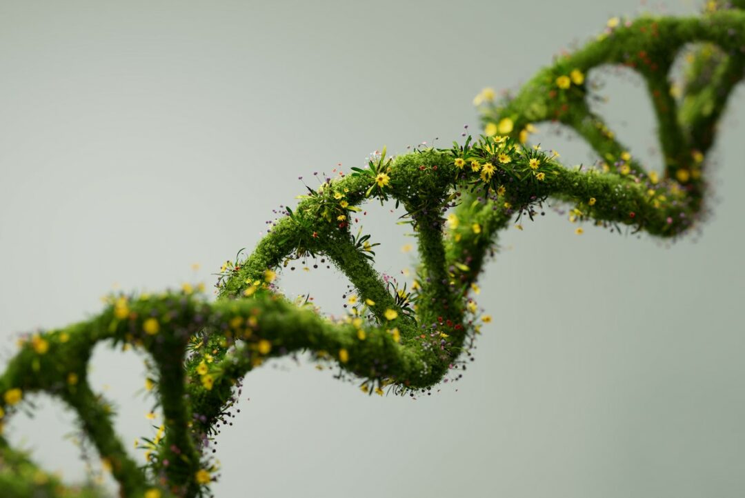 A WOVEN SKEIN OF FLOWERS AND GRASS FORMS THE SHAPE OF DNA