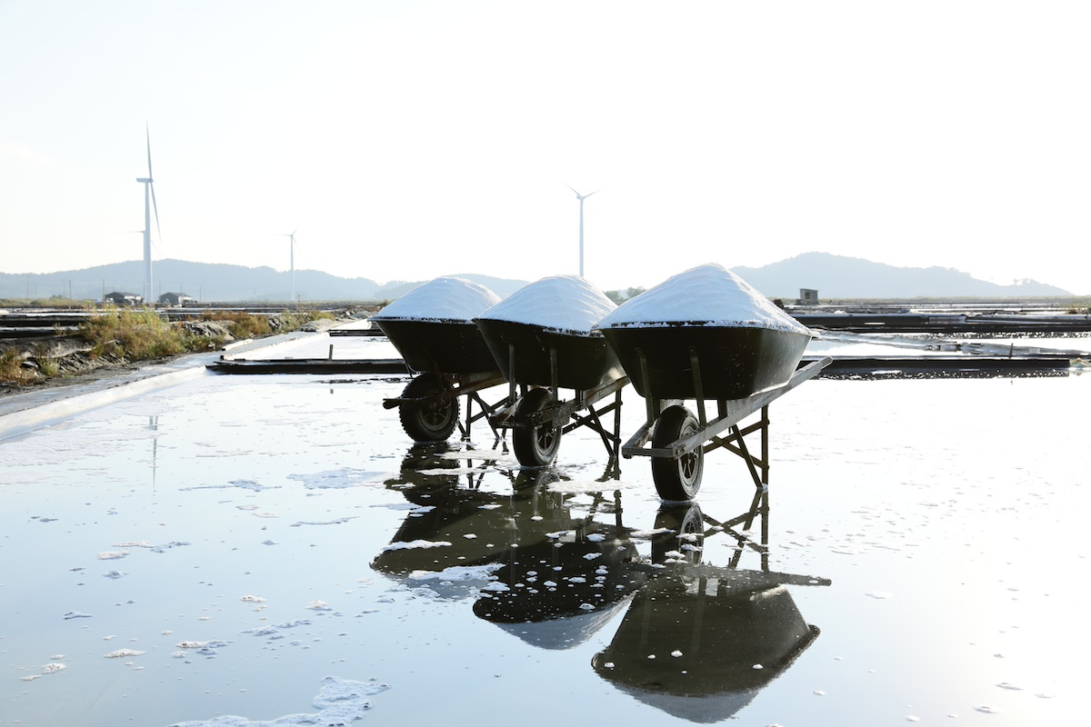 Salt farm istock 1061936998