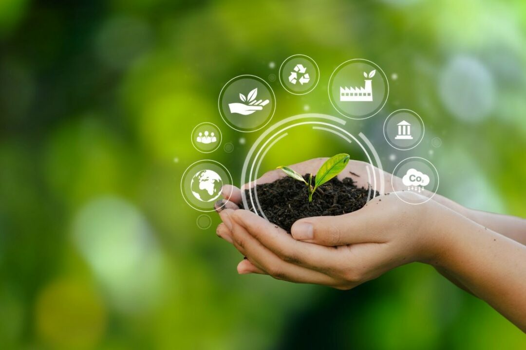 TWO HANDS HOLD UP A CLOD OF EARTH WITH A SMALL GREEN PLANT GROWING OUT OF IT, SURROUNDED BY SYMBOLS FOR FINANCE, TRANSPORTATION ETC.