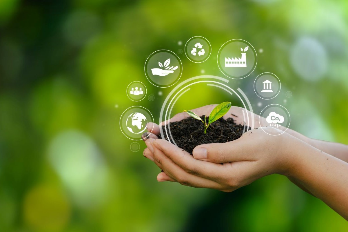 Sustainability finance money green istock sakorn sukkasemsakorn 1392287714